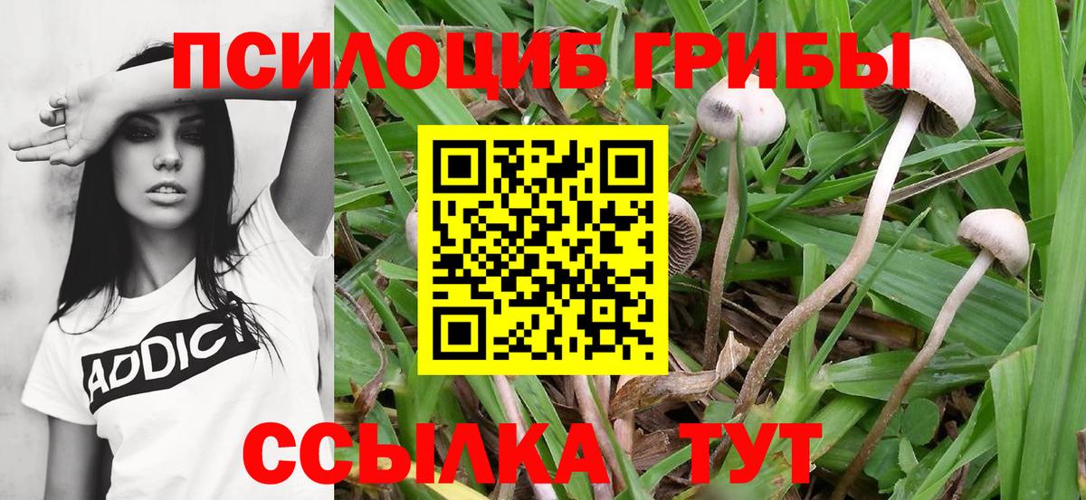 Галлюциногенные грибы мухоморы  Вход с VPN  Галлюциногенные грибы ЛСД  Кинель 